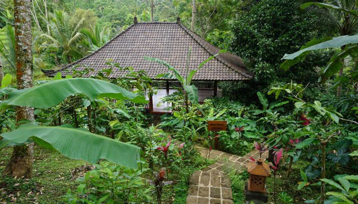 We are set in a gorgeous jungle setting