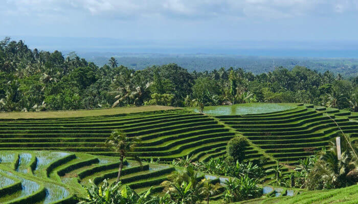 Clove Tree Hill Villas Bali Luxury Accommodation
