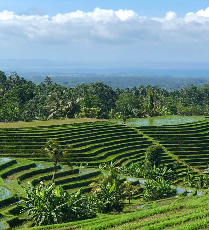 Clove Tree Hill Villas Bali Luxury Accommodation